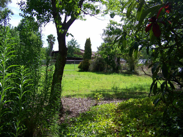 View of the open lawn towards the school building