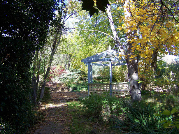 View of the gazebo in the woodland garden
